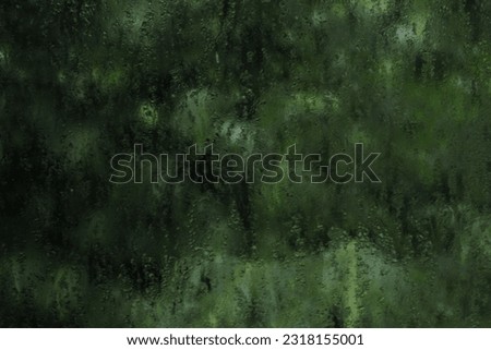 a window view of a rainy day in a rainforest. moisture hazy background