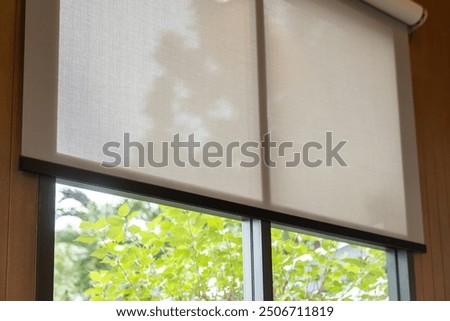 A window with a white blind and a tree outside. The blind is open, allowing sunlight to shine through the window