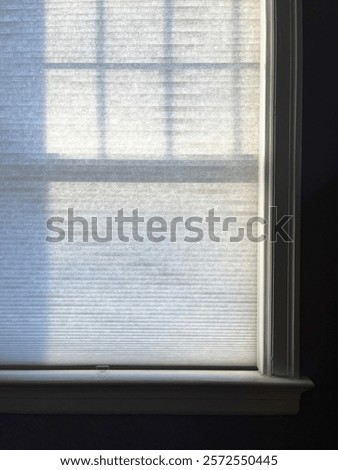Window with white honeycomb shade pulled down