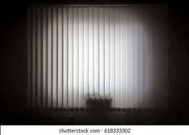 Window with white vertical blinds close-up.
