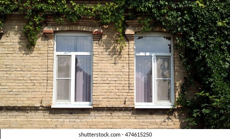 Windows