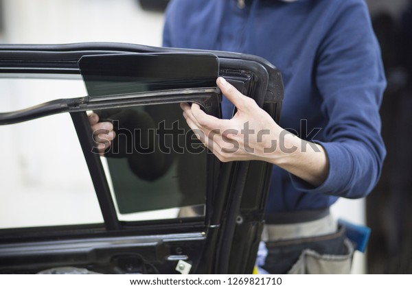 windows film
installing