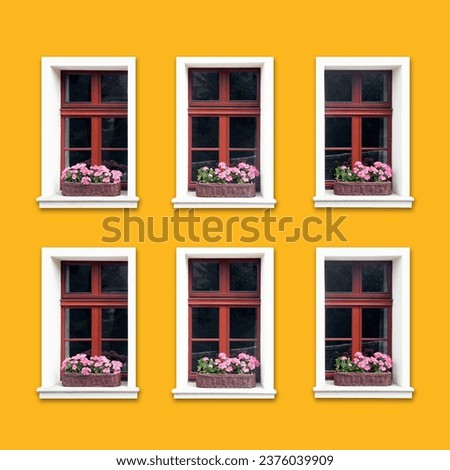 Windows with flower pot. Square italian architecture background. Vibrant color yellow wall facade. Small town house exterior. Street of European city building. Six window frames isolated empty wall.