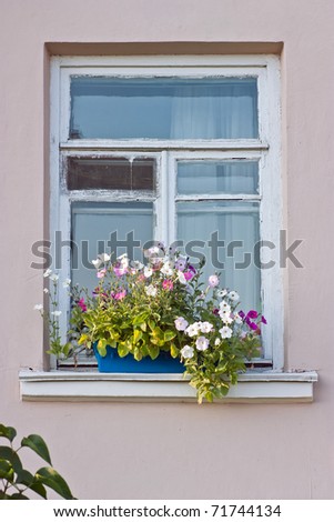 Similar – UT Only floating is more beautiful I Cozy flower window