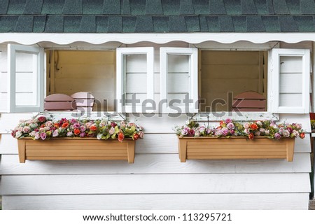windows with flowers in hanging flower pots