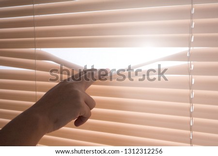 covert Venetian blinds