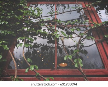 Windows with leaves