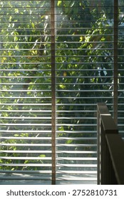 Windows roller blinds home interior design element window detail wooden window blind shutter with daylight from window daytime home interior design concept