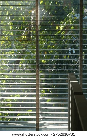 Windows roller blinds home interior design element window detail wooden window blind shutter with daylight from window daytime home interior design concept