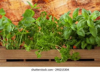 Windowsill Planter With Herbs