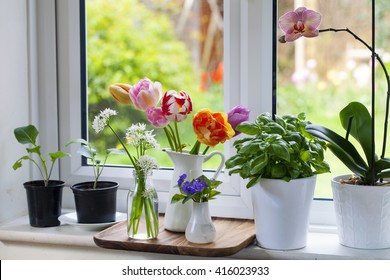 Windowsill With Pots And Flowers