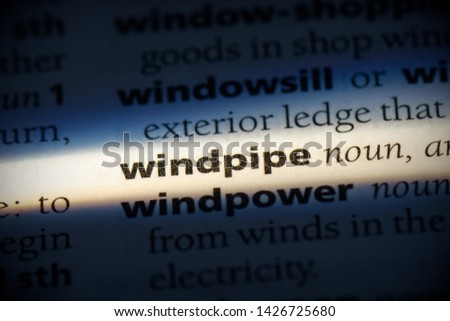 windpipe word in a dictionary. windpipe concept, definition.