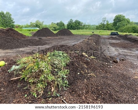 Windrow composting site in summer