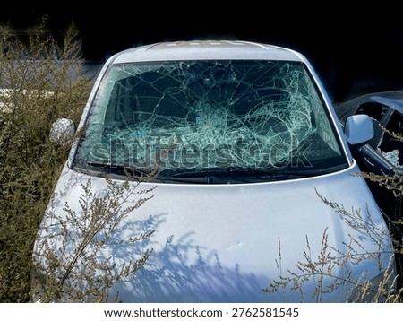 Windscreen deliberately smashed and shattered