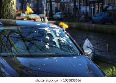 Windshield with lot of bird droppings.