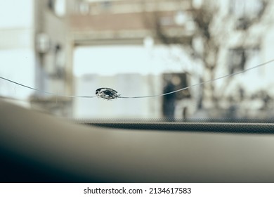 Windshield Chip, Stone Crack In Glass