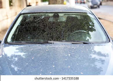 The Windshield Of A Dirty Car In Stains And Drops Of Dirt After A Rain, Front View Of The Window With Wipers.