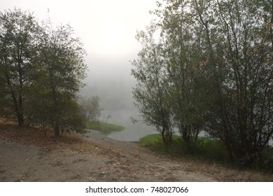 Windsor, California - RiverFront Regional Park Morning Rain, Lake, Russian River.
