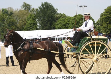 48 Royal Windsor Horse Show Images, Stock Photos & Vectors | Shutterstock