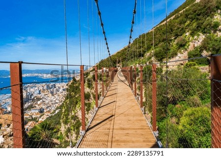 Similar – Image, Stock Photo Suspension bridge in the forest
