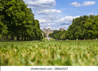 WINDSOR, UK - JUNE 15TH 2015: View of Windsor Castle from The Long Walk in Berkshire, England on 15th June 2015 .