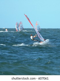 Windsurf Competition On The Isand Sylt