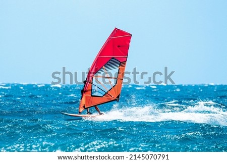 windsurfer have a fun riding the waves during a sunny summer day
