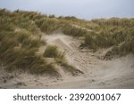 windswept dunes with a darkened sky on a stormy day