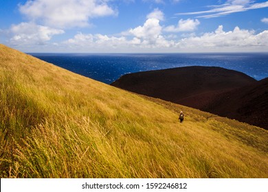 Windswept Grasses On The Side Of Capelinhos