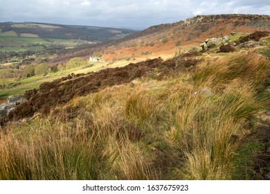 Windswept landscape in the Derbyshire Peak District