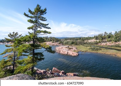 Windswept Tree Stock Images, Royalty-Free Images & Vectors | Shutterstock