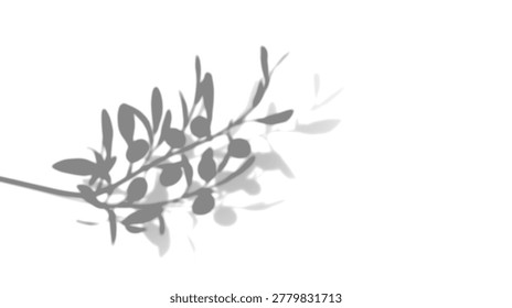 Windswept wild grass shadow overlay on transparent background for meadow mockup texture, organic realistic dappled natural sunlight photography.
