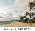 Windy beach in paradise Hawaii 