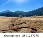 Windy creek going into Todd Lake near Mt. Bachelor in Bend Oregon