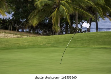 Windy Day For Golf