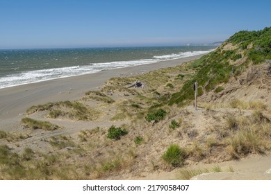 Windy Day On A Northewrn California Shoreline Landscape.