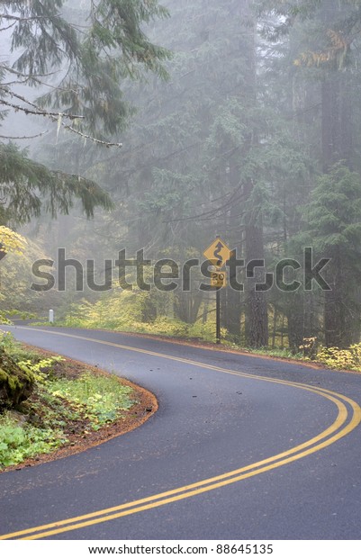 Windy\
forest road with a curve sign on a foggy\
day.