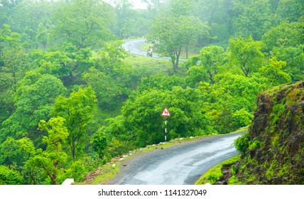 Windy Forest Road, India