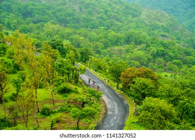 Windy Forest Road, India