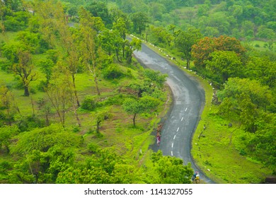 Windy Forest Road, India