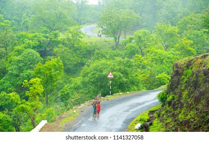 Windy Forest Road, India