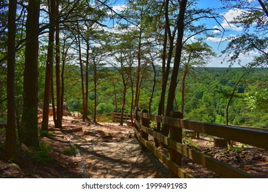 Windy Forest Trail Leading To A Mountaintop Overlook