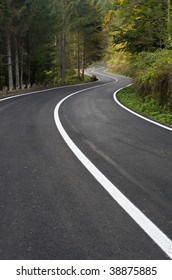 Windy Road In The Forest