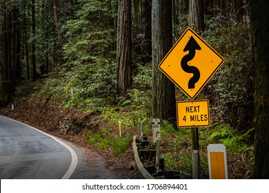 Windy Road Warning Sign On Forest Road