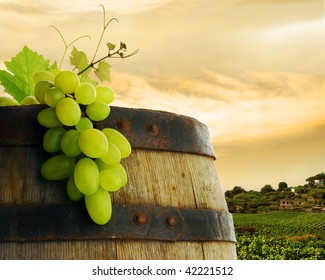 Wine Barrel And Grapevine With Vineyard In Background