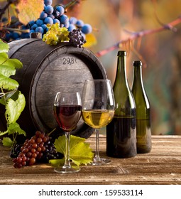 Wine with barrel on vineyard 