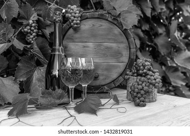 Wine With Barrel On Vineyard. Black And White Photography.