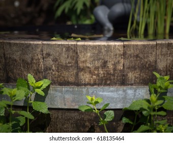 Wine Barrel Pond With Plants In A Garden