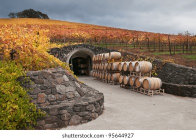 Wine Barrels And The Cave