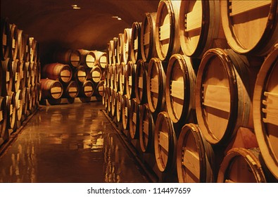 Wine barrels in cellar. Cavernous wine cellar with stacked oak barrels for maturing red wine.